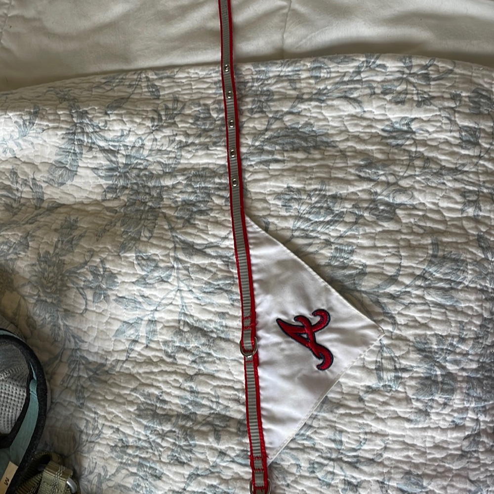 Atlanta Braves dog collar